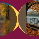 Seeking Seasonal Serenity: 15 Inspiring Landscape Ideas for Art Lovers