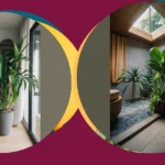 “Transform Your Space: 15 Fabulous Indoor Plants Perfect for Any Living Room”