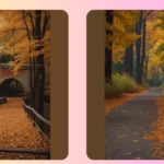 Nature’s Palette: 15 Autumn Landscape Ideas to Spark Your Creativity