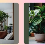 “15 Indoor Plants That Will Give Your Living Room a Fresh Spin”