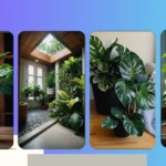 Spruce Up Your Space: 15 Indoor Plants for a Greener Home