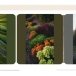 15 Evergreen Ideas to Elevate Your Landscape Game**  
**