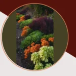 Unleash Your Creativity with These 15 Evergreen Landscaping Ideas**  
**