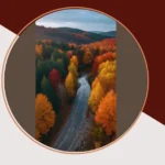 Dive into Fall: 15 Landscape Ideas to Ignite Your Creativity