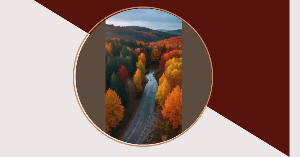 Fall Scape Program Dive into Fall: 15 Landscape Ideas to Ignite Your Creativity – Inspire ...