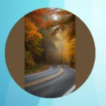 Fall in Love with Nature: 13 Photography Ideas for Dynamic Autumn Scenery