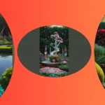 Unleashing the Magic: 12 Aesthetic Garden Ideas You’ll Love