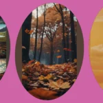 Cozy Fall Aesthetic Wallpaper Ideas for Your Desktop and Laptop