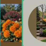 Transform Your Front Porches: 15 Fall Garden Inspirations To Try