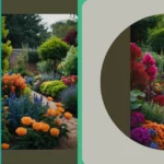 Spruce Up Your Outdoors: 15 Garden Ideas for Every Space**  
**