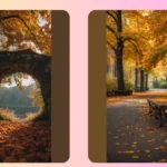 Fall Photography Bliss: 13 Ideas to Transform Your Shots