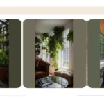 Indoor Gardening Bliss: 15 Ideas to Spruce Up Your Apartment**  
**