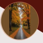 Snap Happy: 13 Bright Ideas for Autumn Nature Photography