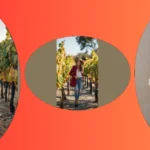 Raise Your Glass to These 13 Adorable Winery Fall Outfits!