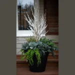 Winter Charm: 18 Stylish Planters for Your Front Porch Transformation