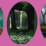 Discover the Enchantment: 13 Magical Places to Visit