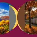 The Magic of Autumn Flowers: 11 Stunning Ideas for Your Wedding