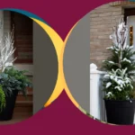 Deck Your Halls and Your Porch: 18 Planters for a Wintery Welcome