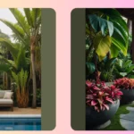 Say Hello to 11 Vibrant Modern Tropical Landscape Design Ideas