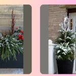Winter is Coming: 18 Stunning Planters for Your Porch