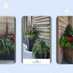 Bring the Cheer: 18 Winter Planters to Brighten Your Front Porch
