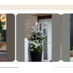 Winter Wonders: Planters to Transform Your Front Porch