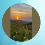 20 Nature Spots to Fill Your Feed with Peace and Aesthetics!