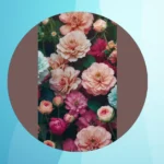 Petals and Pixels: 17 Aesthetic Flower Wallpapers for iPhones