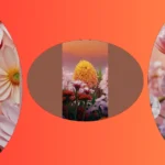 Floral Fiesta: 17 Beautiful Flower Wallpapers for iPhones