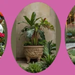 Unleashing Creativity: 20 Tropical Garden Design Ideas for Your Home