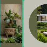 Transform Your Small Backyard: 20 Tropical Garden Ideas You’ll Love