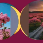 Embracing the Pink Paradise: 17 Tree Aesthetic Concepts**  
**