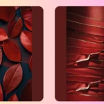 Embrace the Raspberry: 17 Red iPhone Wallpaper Inspirations for 2025
