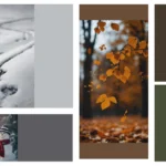 Unlock the Magic: 15 Stunning iPhone Wallpapers You Must Try!