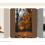 Transform Your iPhone with 15 Must-Have Wallpapers for Every Style