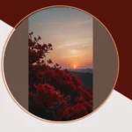 2025’s Top 17 Dark Red Wallpapers: Spice Up Your iPhone Background!