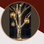 Festive Fun: Discover 15 Outdoor Christmas Lights Ideas for Instant Holiday Cheer