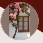 Anime Magic and Pastel Pink Trees: 17 Ideas To Elevate Your Space