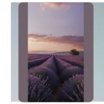 Transform Your Space with These 15 Adorable Lavender Wallpaper Ideas