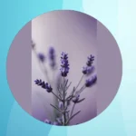 Love Lavender? Check Out These 15 Wallpaper Ideas You’ll Adore!