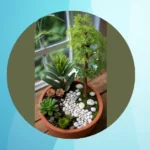 Backyard Bliss: 18 Easy Miniature Garden Ideas That Will Make You Smile**  
**