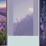 Elevate Your Home with These 15 Quirky Lavender Wallpapers