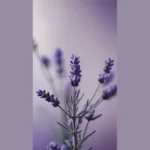 Get Inspired: 15 Lavender Wallpaper Ideas for Every Style Enthusiast