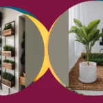 Green Dreams: Breathtaking Interior Garden Designs for Every Space