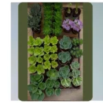 Grow Big in a Tiny Space: 16 Urban Gardening Hacks for Limited Backyards**  
**