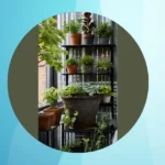 From Sketch to Soil: 16 Gardening Ideas to Cozy Up Your Tiny Backyard**  
**