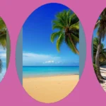 Chill Vibes: 16 Coconut Beach Wallpaper Ideas for Every Device