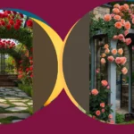 18 Lush Rose Garden Design Ideas for the Home Gardener