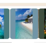 19 Nature Photography Ideas: A Cat Lover’s Paradise Awaits