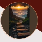 Discovering Nature: 19 Photography Spots Every Cat Lover Should Know